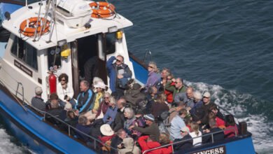 skomer island ferry