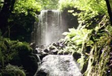 canonteign falls tickets