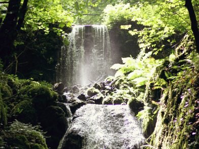 canonteign falls tickets