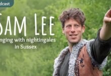 sam lee folk singer