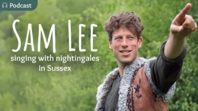 sam lee folk singer