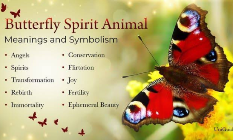 what do butterflies symbolize